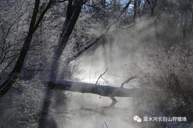异形星球塔防