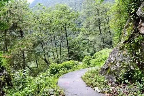 《羊了个羊》前三季度单人分红3亿元，究竟靠什么在赚钱？这说明了什么？游戏画面