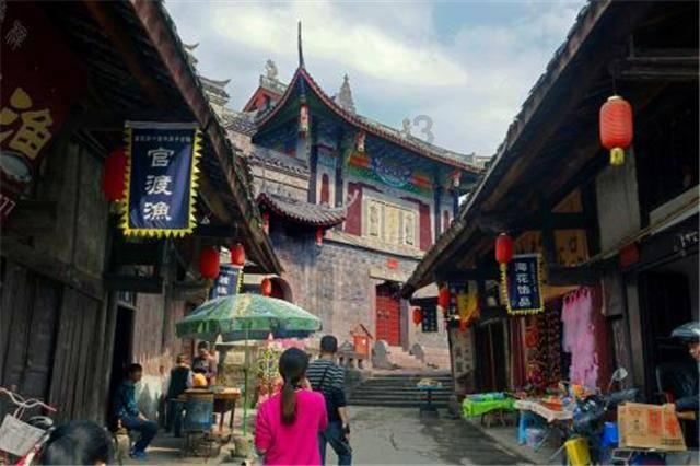 逗小猴开心系列208